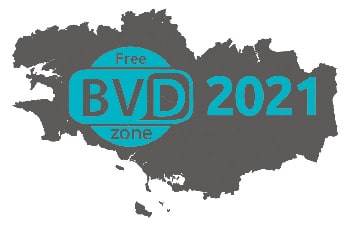 Free Zone BVD 2021
