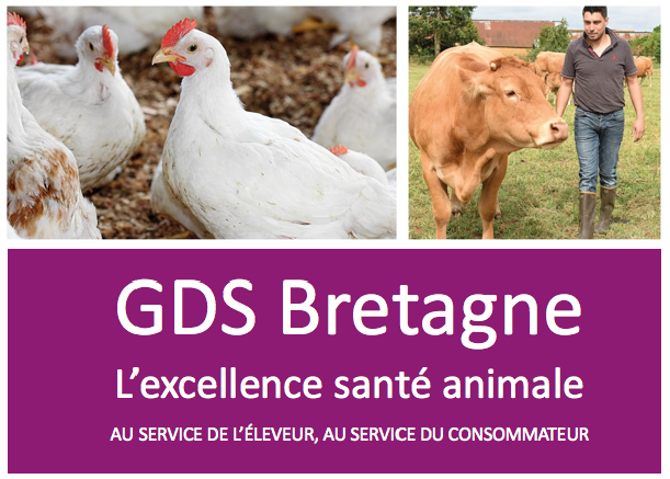 GDS Bretagne | L'excellence santé animale