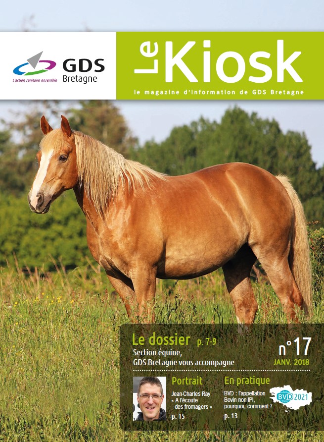 Le Kiosk N°17 | le magazine de l'information de GDS Bretagne